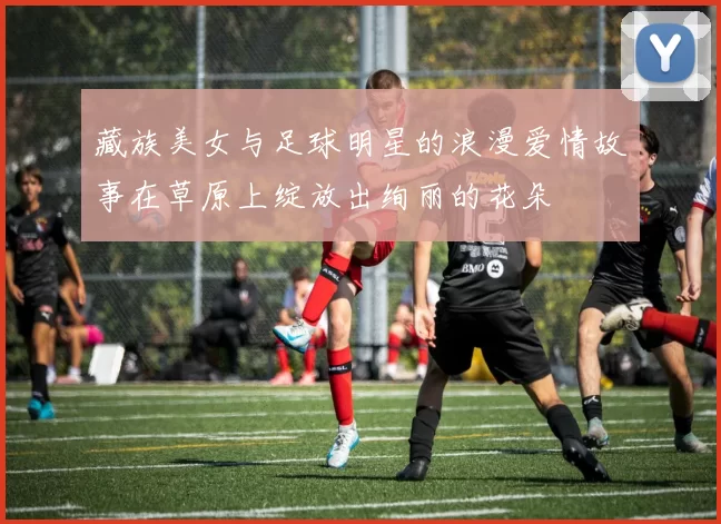藏族美女与足球明星的浪漫爱情故事在草原上绽放出绚丽的花朵