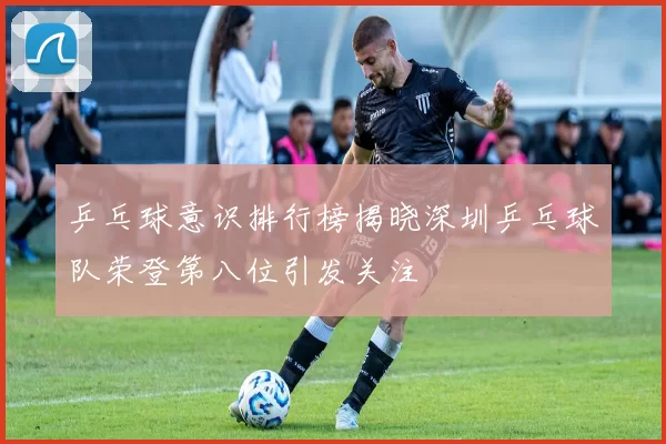 乒乓球意识排行榜揭晓深圳乒乓球队荣登第八位引发关注