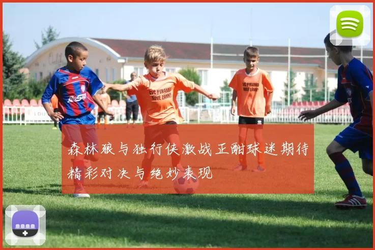 森林狼与独行侠激战正酣球迷期待精彩对决与绝妙表现