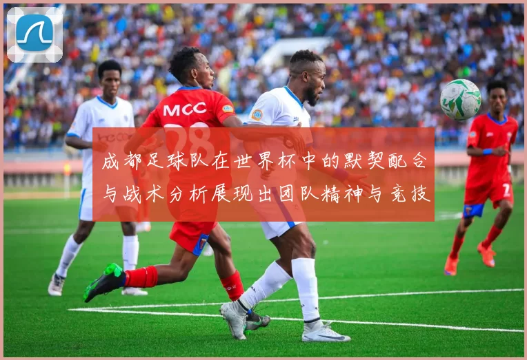 成都足球队在世界杯中的默契配合与战术分析展现出团队精神与竞技水平
