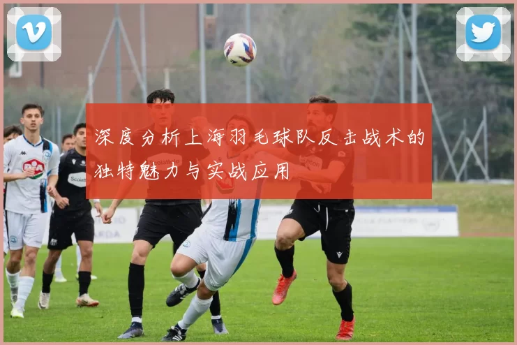 深度分析上海羽毛球队反击战术的独特魅力与实战应用