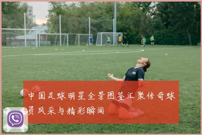 中国足球明星全景图鉴汇聚传奇球员风采与精彩瞬间