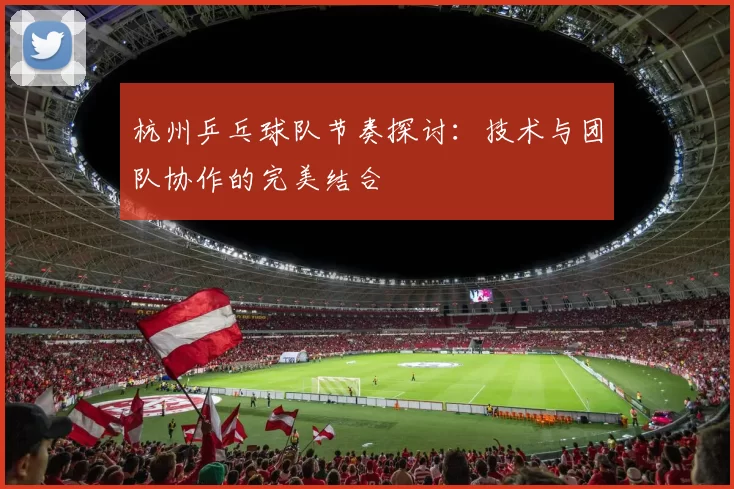 杭州乒乓球队节奏探讨：技术与团队协作的完美结合