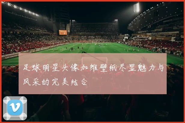 足球明星头像加维壁纸尽显魅力与风采的完美结合