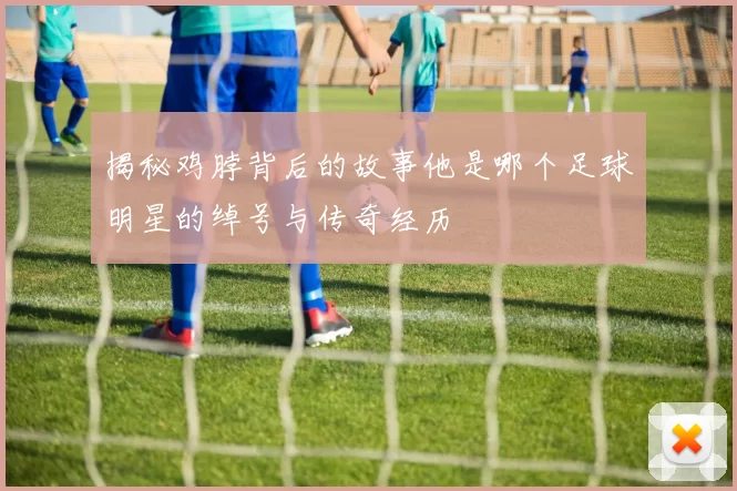 揭秘鸡脖背后的故事他是哪个足球明星的绰号与传奇经历