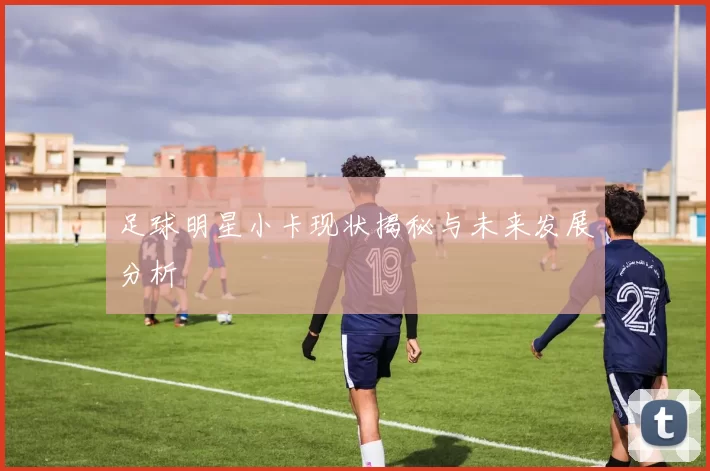 足球明星小卡现状揭秘与未来发展分析