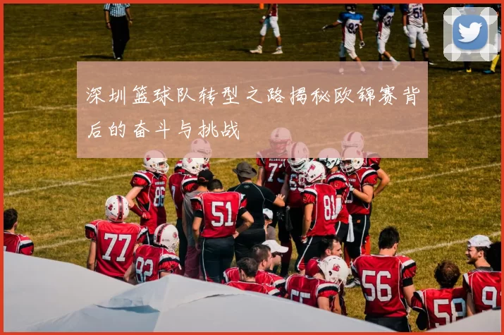 深圳篮球队转型之路揭秘欧锦赛背后的奋斗与挑战
