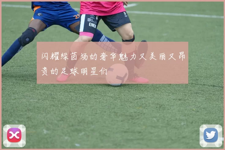 闪耀绿茵场的奢华魅力又美丽又昂贵的足球明星们