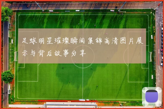 足球明星璀璨瞬间集锦高清图片展示与背后故事分享