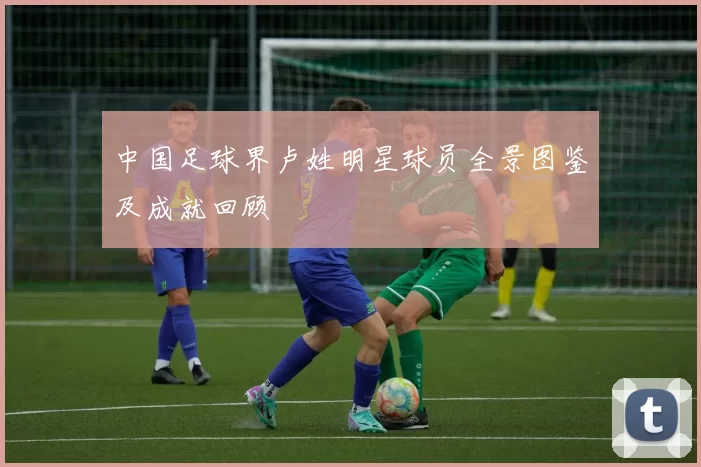 中国足球界卢姓明星球员全景图鉴及成就回顾