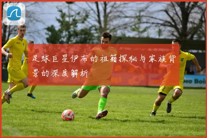 足球巨星伊布的祖籍探秘与家族背景的深度解析